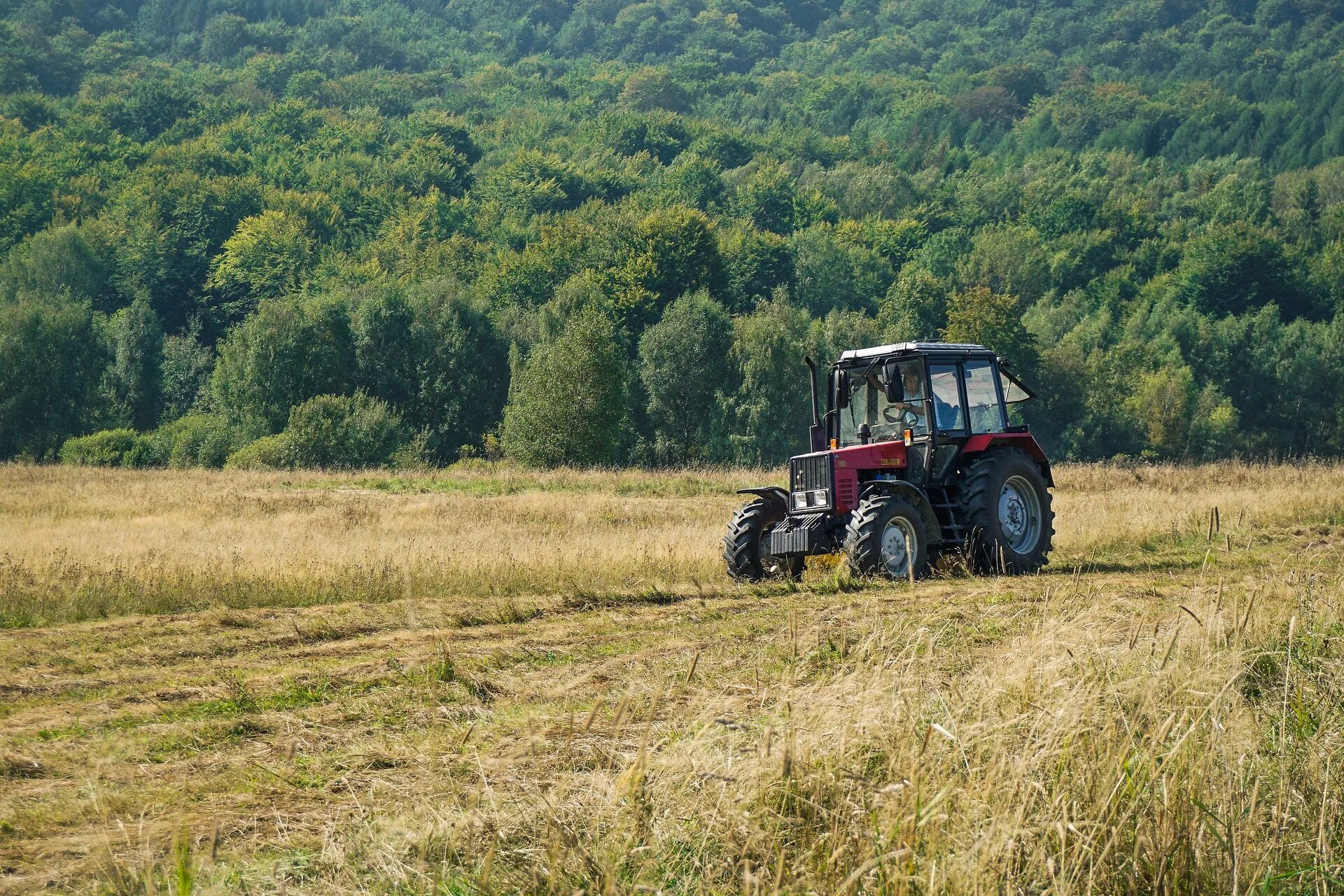 Трактор в поле. Трактор на природе. Российский трактор в поле. Трактор на лугу.