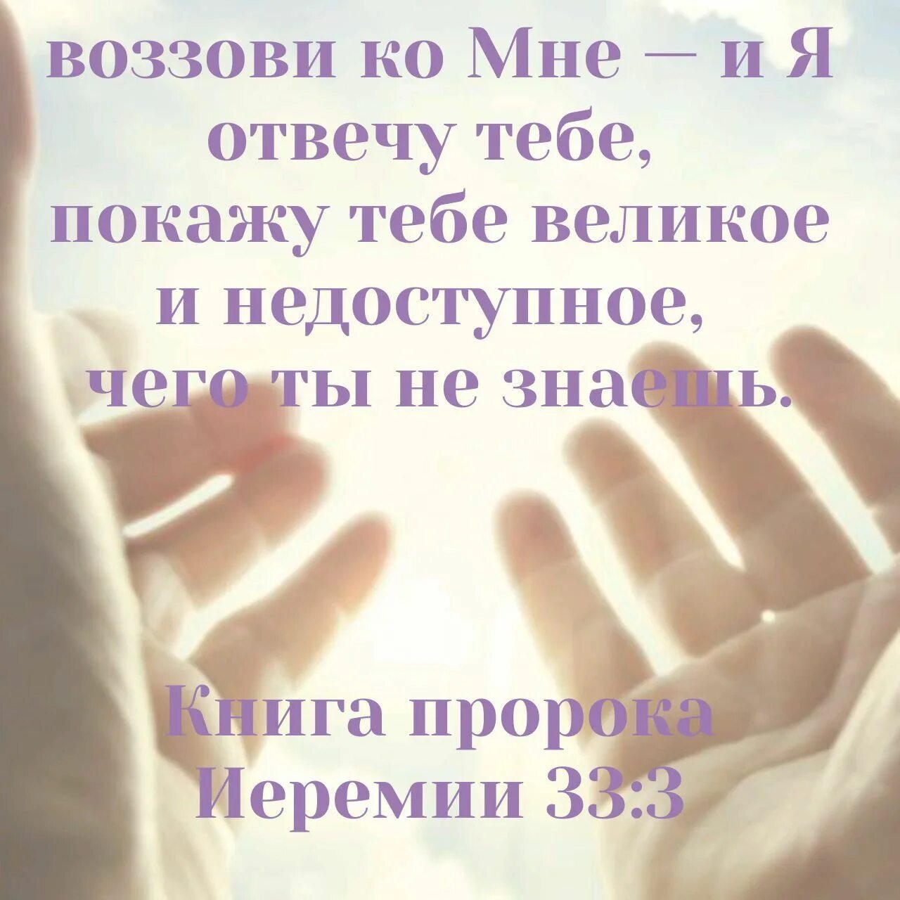 Я спас тебя но не несу ответственность