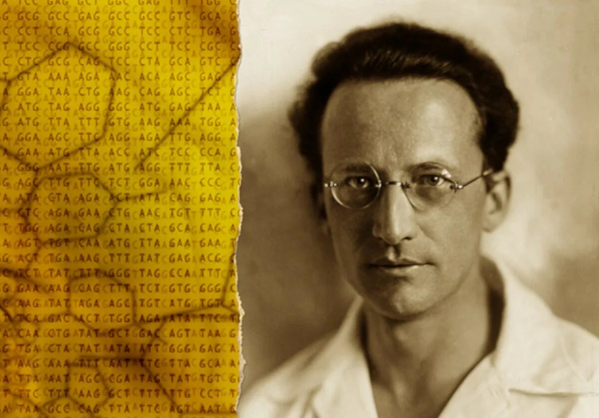 Учен ц. Эрвин шрёдингер. эрвин рудольф йозеф александр шрёдингер. австрийский физик-теоретик эрвин шрёдингер. шредингер ученый.