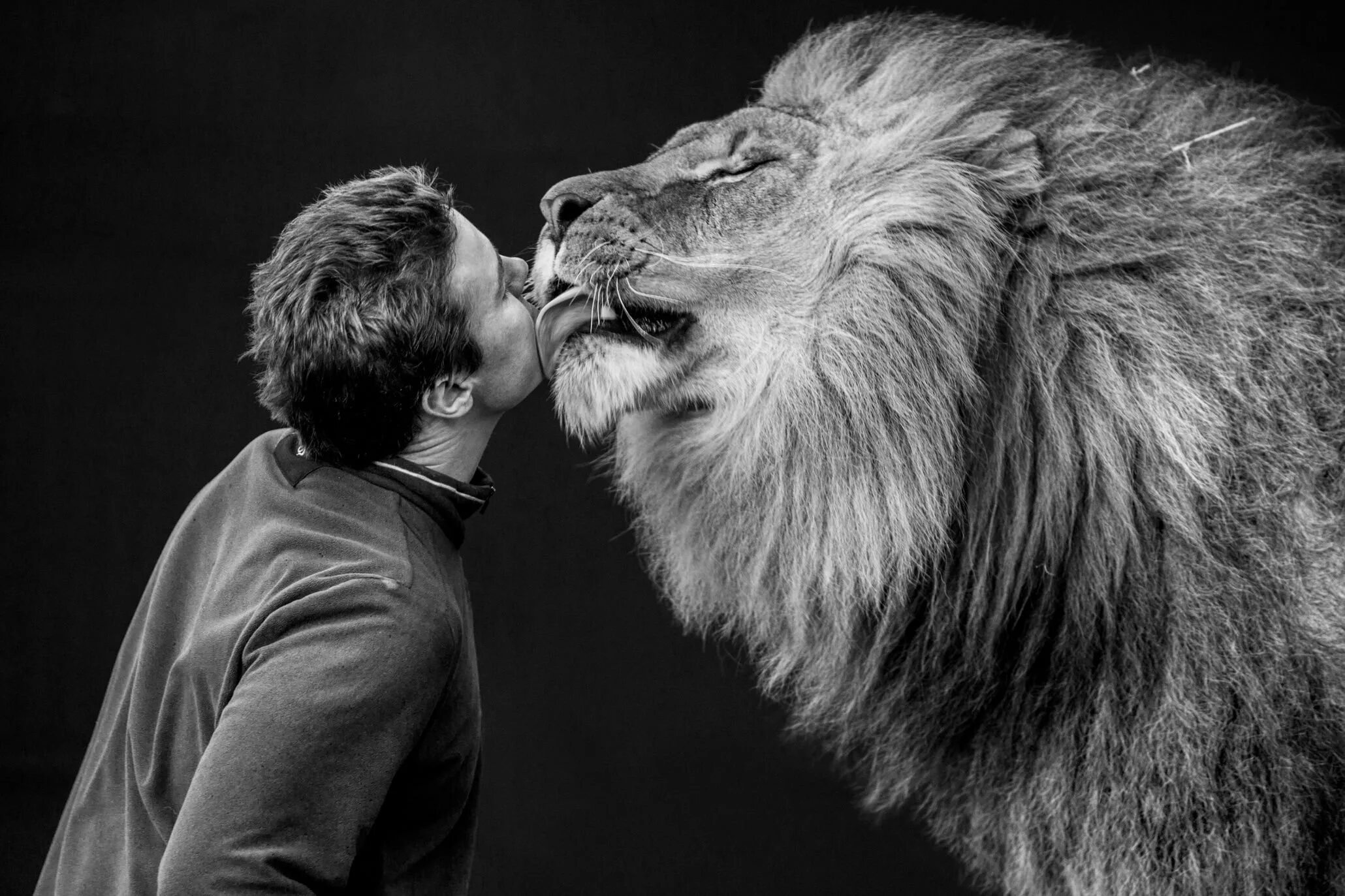 Lion Tamer. Лев фото. Человек Лев. Лев рядом с человеком.