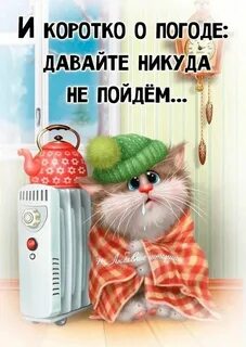 Утро замереть