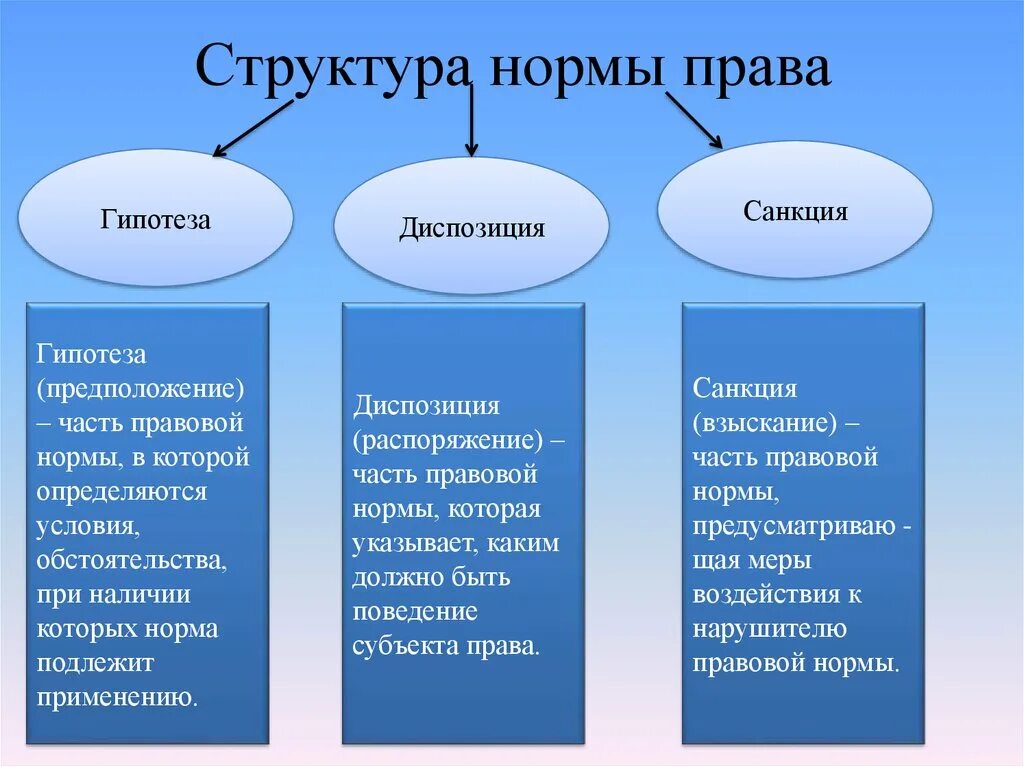 Нормы в составе организации