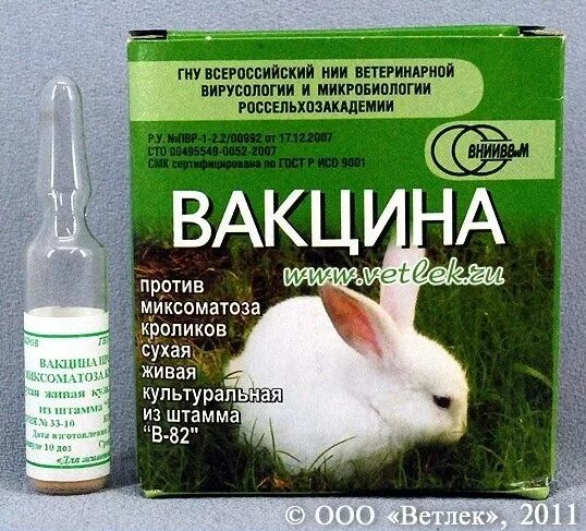 Вакцина против вгбк. Миксоматоз и ВГБК У кроликов вакцина. Вакцина для кроликов против ВГБК И миксоматоза. Миксоматоз кроликов вакцинация. Вакцина ВГБК+миксоматоз ассоциированная сухая.