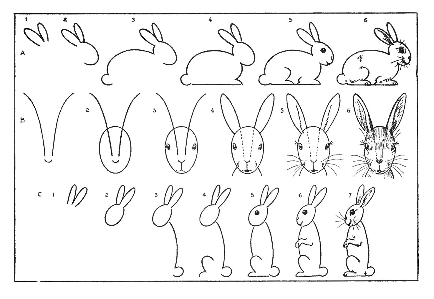 Уроки рисования 6 класс. Поэтапное рисование зайца. Поэтапное рисование зайца для детей. Заяц рисунок для детей карандашом. Заяц рисунок легкий для срисовки.