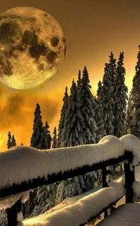 Snow live