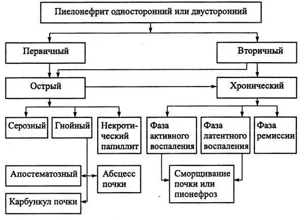 Классификация Лопаткина пиелонефрита. Классификация пиелонефрита Лопаткин. Блок схема пиелонефрит. Патогенез хронического пиелонефрита схема.