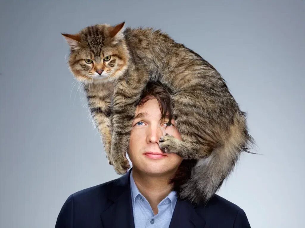 Чувак кот. Кошка и хозяин. мужчина с котом. голова кота.
