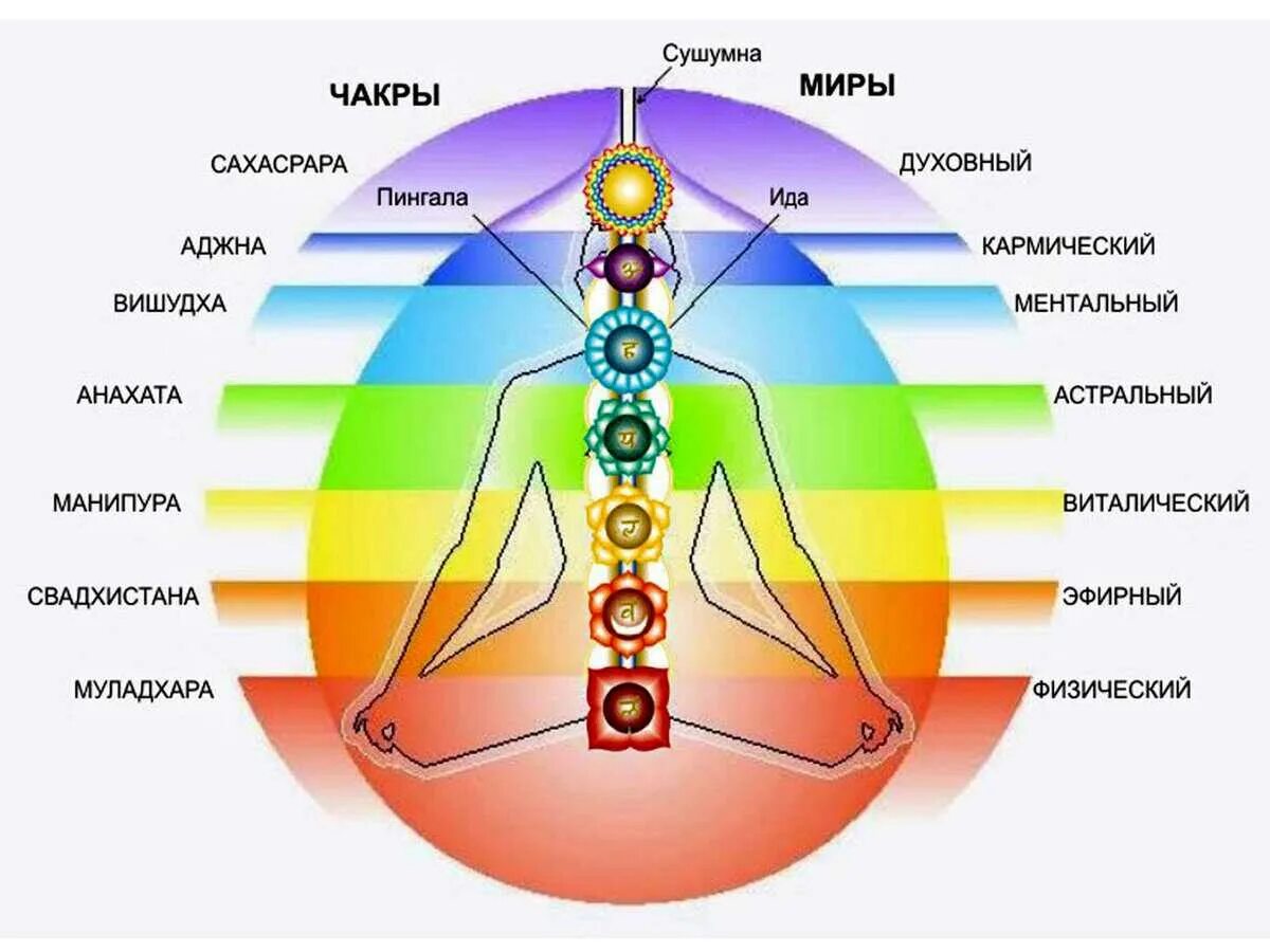Муладхара Свадхистана Манипура Анахата Вишудха Аджна Сахасрара. Чакры Аджна и Сахасрара. Энергетические+чакры+человека+схема. Сахасрара, Аджна, Вишудха, Анахата, Манипура, Свадхистана. Ментальное оружие что это такое простыми словами