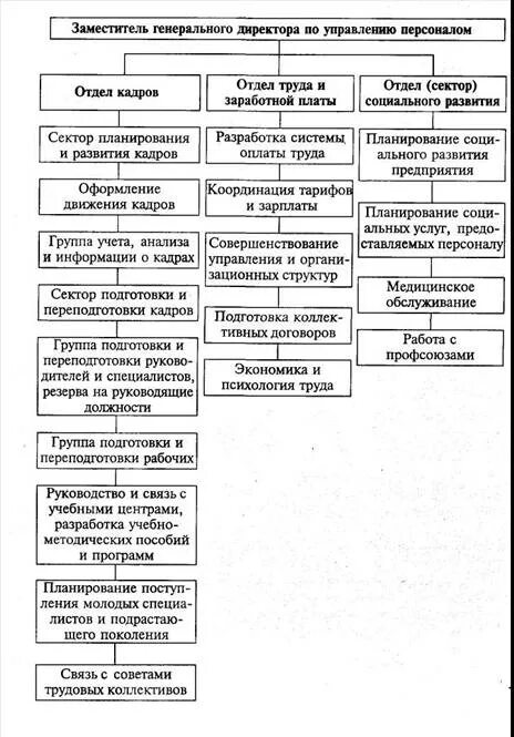 кадровая служба курсовая