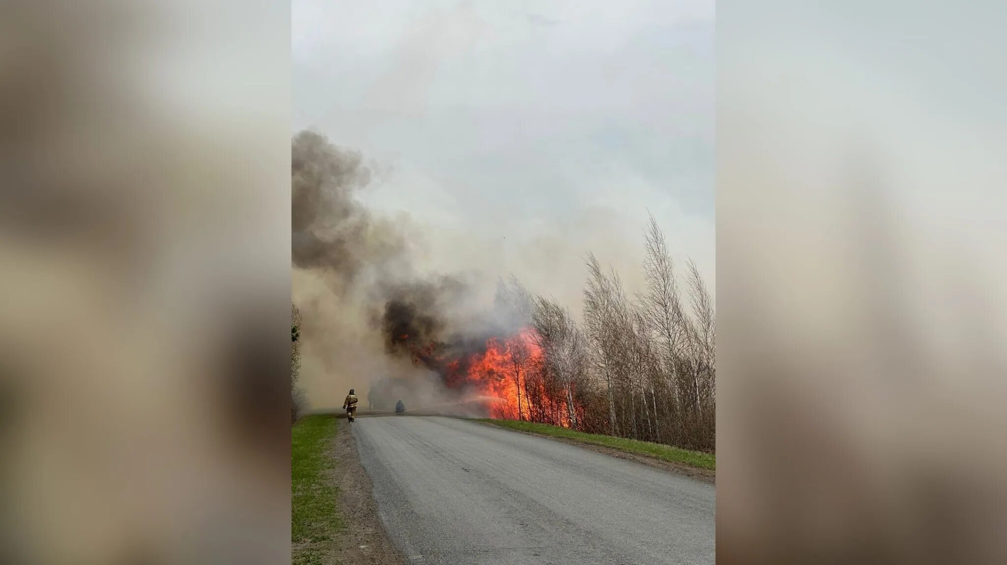 Пожар в белой лошади. Смолино Курганская область пожар. Пожары в Курганской области. Лесные пожары в Курганской области 2023. Пожар в Яре.