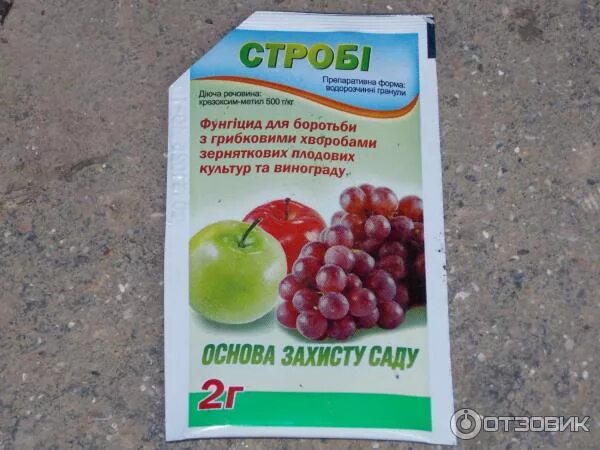 Basf строби отзывы. Контактный фунгицид для роз. фунгициды для роз список препаратов. строби порошок. фунгициды для роз летом.