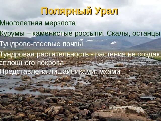 Почвы полярного Урала. Растения полярного Урала. Почвы полярного Урала кратко. Полярный Урал кратко. Почвы уральского экономического района