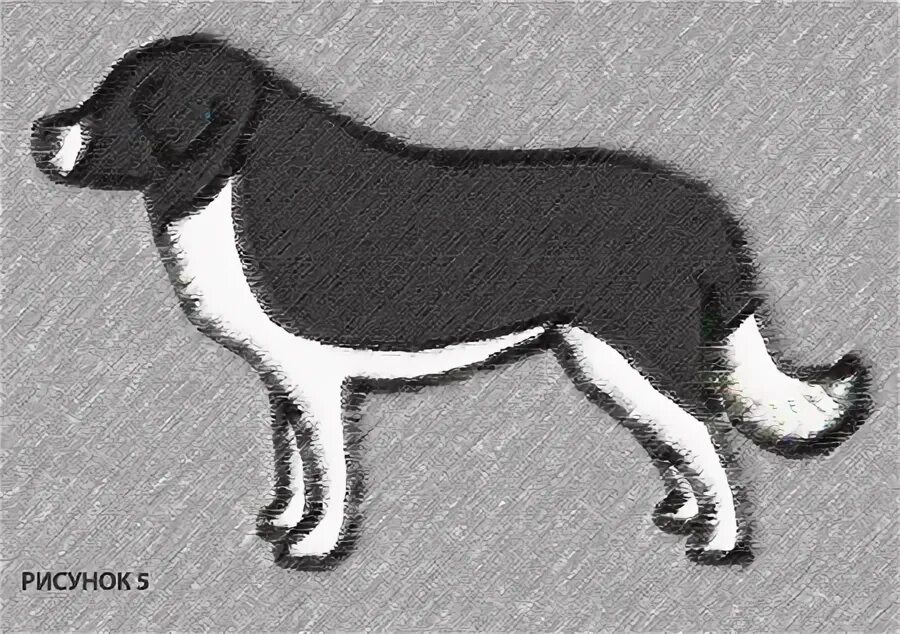 лиса песец. полярная сова в арктике. москва полярная улица 31б мос-окрас. полярный волк в арктике. мос окрас полярная.