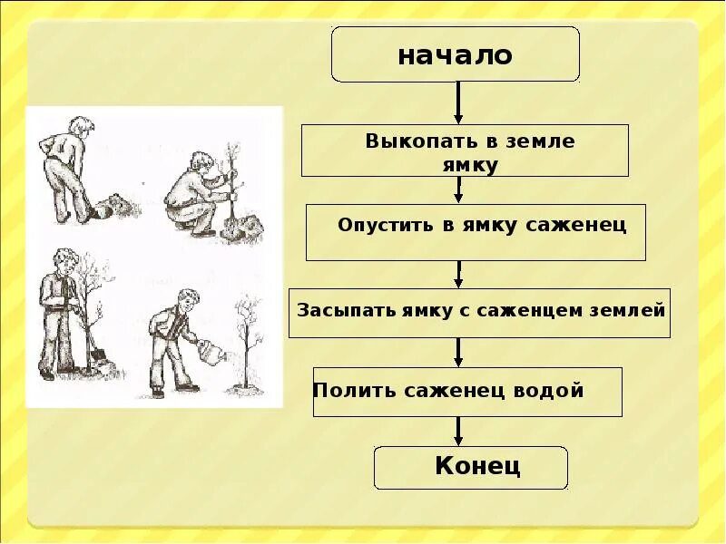 Линейная презентация 6 класс. Линейные алгоритмы Информатика 6 класс. Линейный алгоритм схемы 6 класс Информатика. Линейный алгоритм это в информатике. Алгоритм Информатика 6 класс.