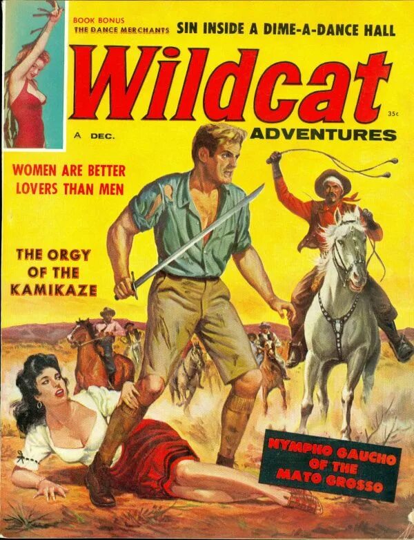 Wildcat Adventures журналы. Adventures magazine