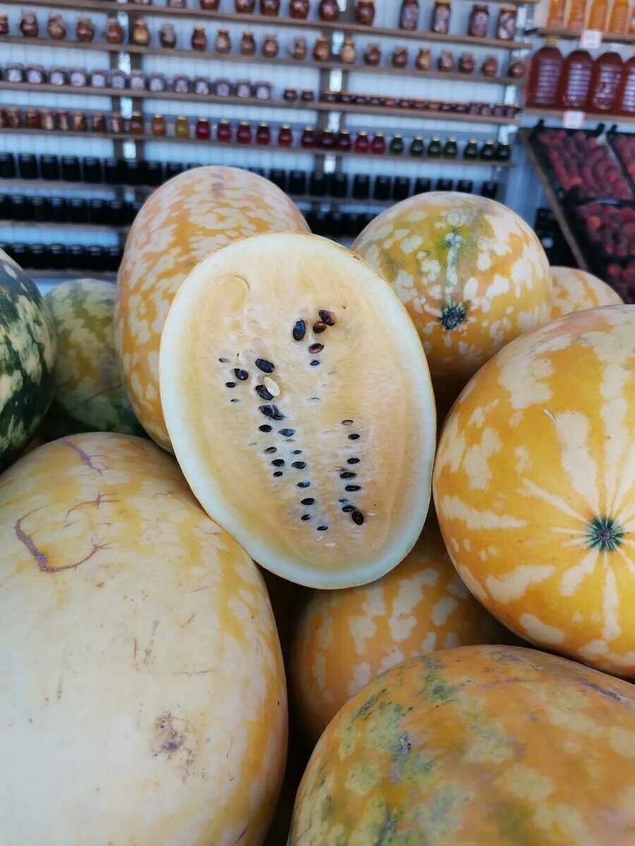 Какие лучшие сорта дыни