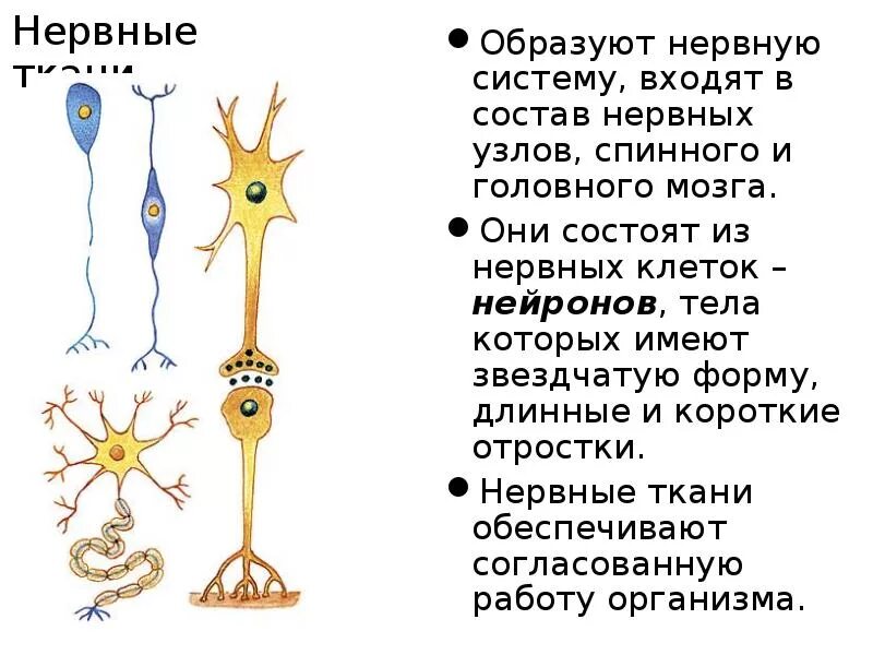 Описание в отпуске. Вернется через неделю.
