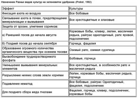 Какой сидерат посадить в октябре