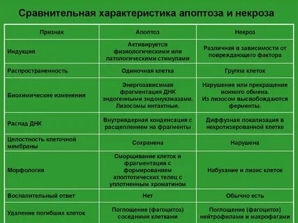 Виды некроза таблица
