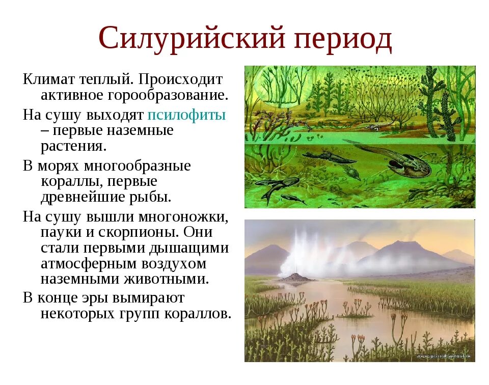 Климат периодов. Силурийский период палеозойской эры климат. Силурийский период палеозойской эры. Палеозойская Эра силурийский период животные. Силурийская Эра климат.