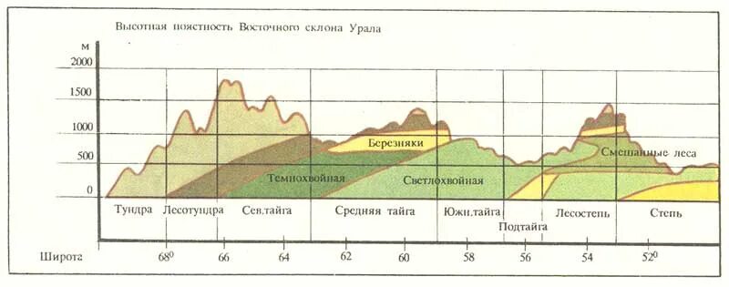 Восточный склон урала. Высотная поясность южного урала. высотная поясность в горах урала. высотная поясность уральского восточного склона. высотная поясность южного урала схема.