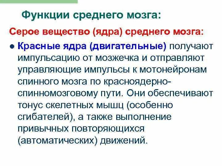 Красное ядро функции. Функции красного ядра среднего мозга. красное ядро среднего мозга. функции двигательных ядер среднего мозга.