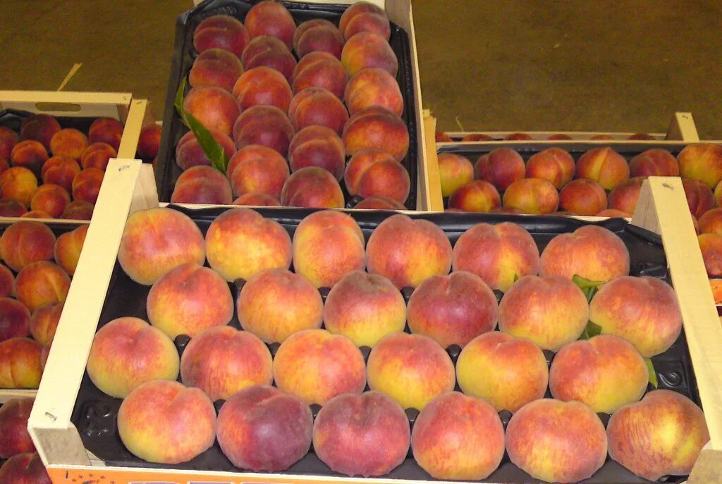 персик в коробке. в ларёк привезли. вес фруктового ящика. в киоск привезли 5 ящиков с виноградом. персики в ящиках.