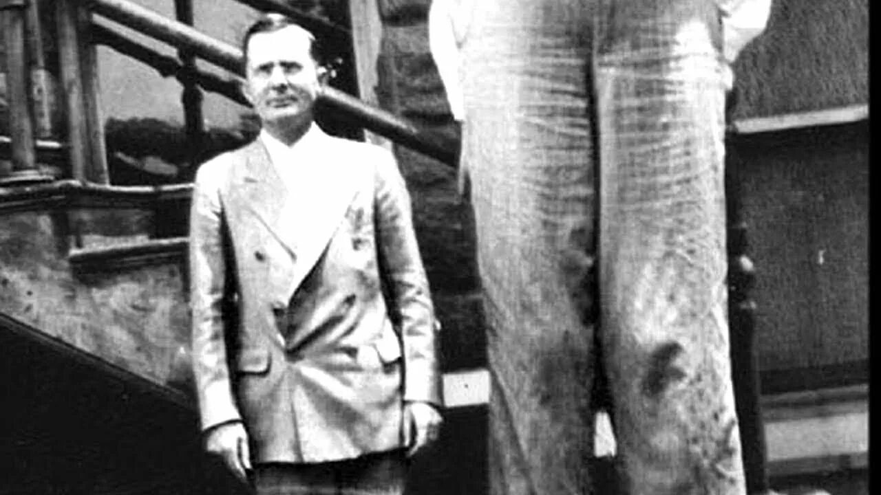 Самого лучшего человека в истории человечества. Самый высокий человек в мире Уодлоу.
