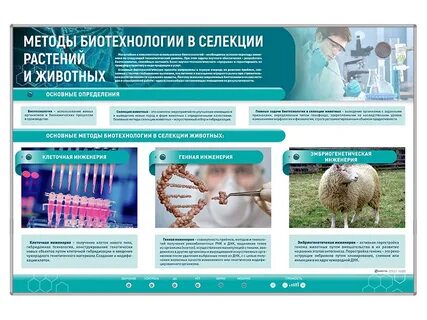 Приемами и методами биотехнологии
