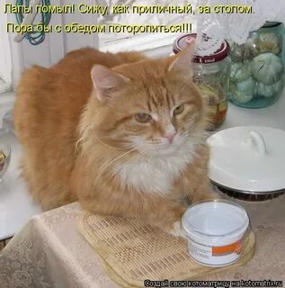 Даже не обедаешь