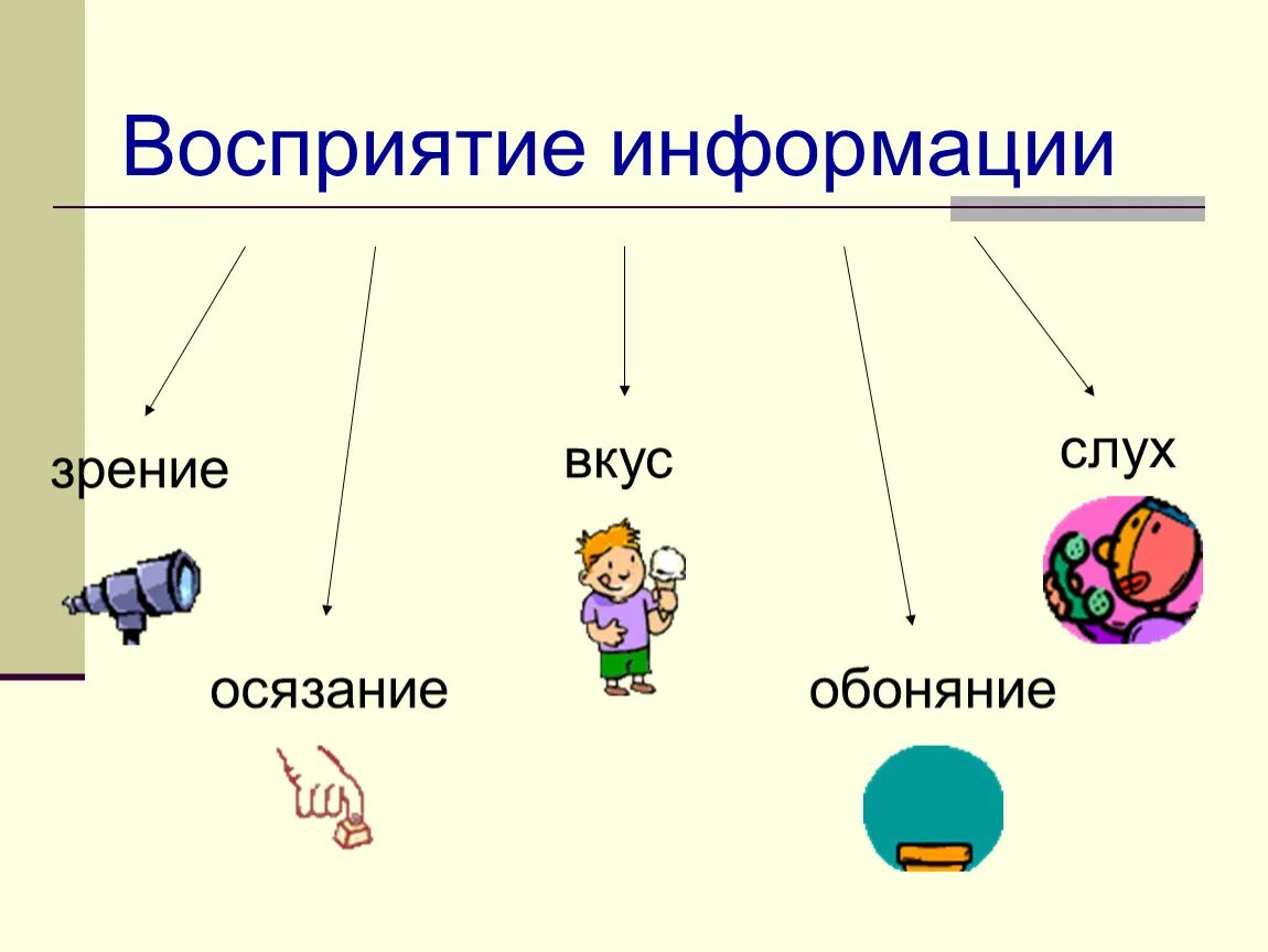 Лучше воспринимается информация. Восприятие информации. Восприятие информации человеком. Органы восприятия информации. Информация и восприятие информации.