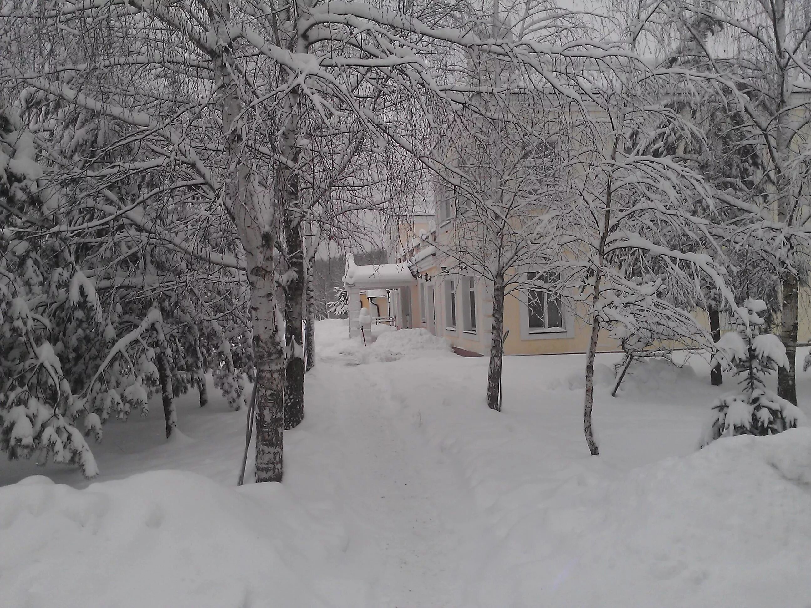"вишневый сад". Вишневый сад 3. Вишневый сад 3. Вишневый сад краснодар. Вишнёвый сад ресторан новопеределкино.