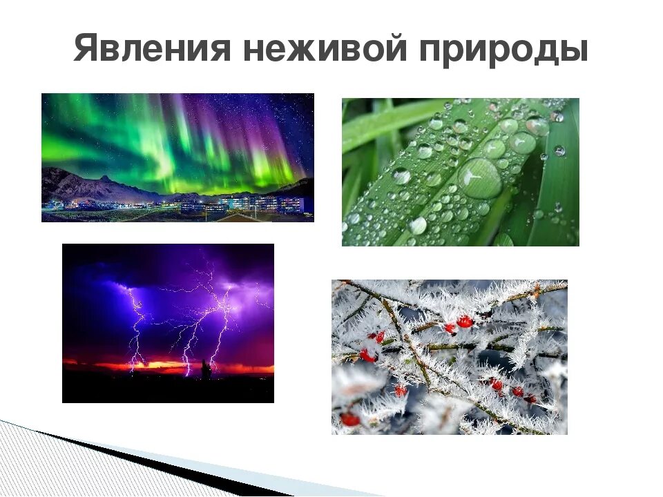 Неживая природа природные явления