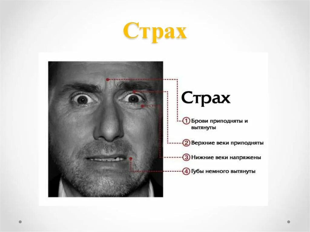 Как понять что человек боится