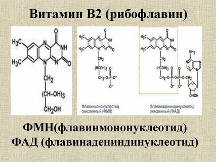 Рибофлавин активная форма