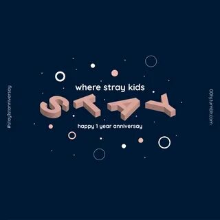 Stray kids everywhere all around