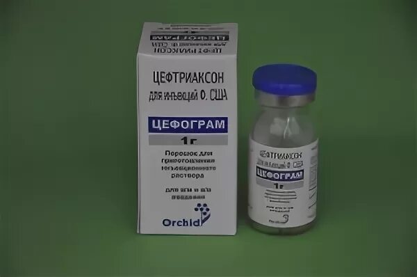Цефтриаксон антибиотик 1 мг. Бристоль таблетки. Цефтриаксон 2 г порошок для инъекции. Цефтриаксон деко. Азарексон инструкция.