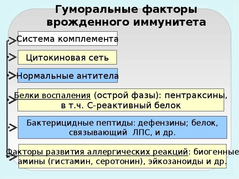 Факторы врожденного иммунитета. Клеточные и гуморальные факторы врожденного иммунитета. Гуморальный врожденный иммунитет. Гуморальные факторы иммунной системы.