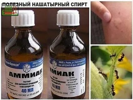 Нашатырь от ли