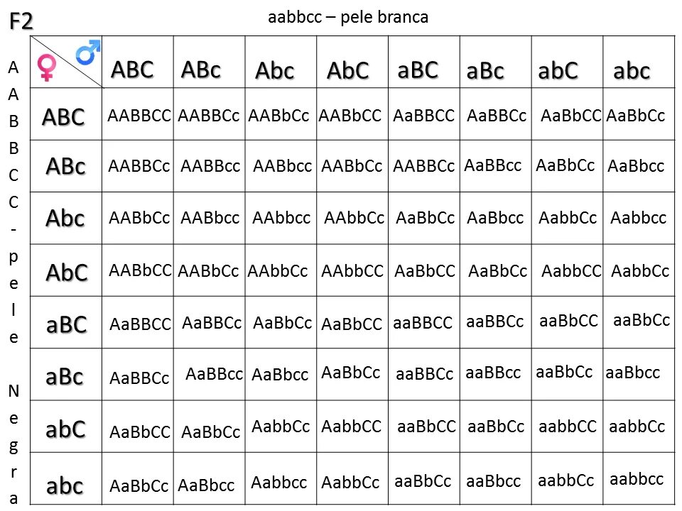 Гамет генотипа aabbcc. AABBCC AABBCC. AABBCC AABBCC скрещивание. Решетка Пеннета AABBCC AABBCC. Таблица Пеннета AABBCC AABBCC.