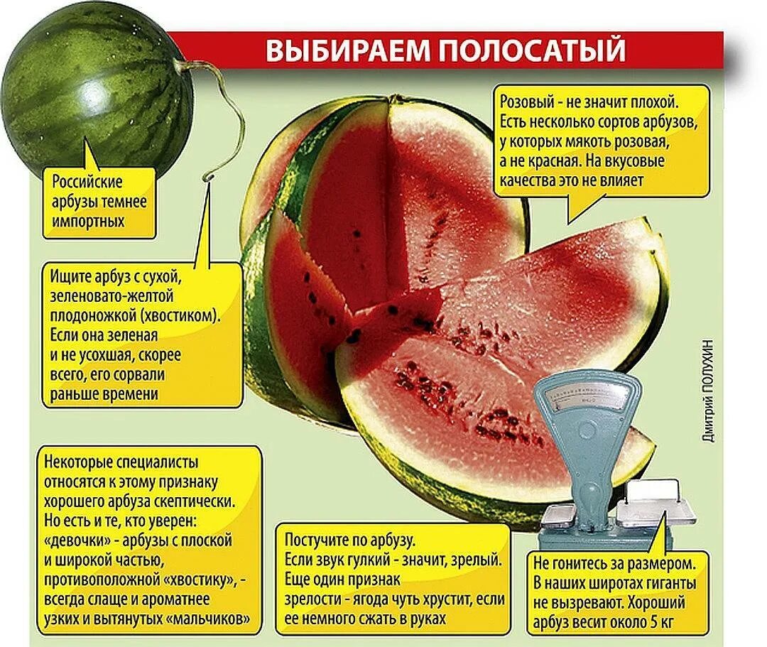 Какие химические вещества содержатся в арбузе. Как выбрать Арбуз. Как правильно выбрать Арбуз. Как выбрать Арбуз спелый и сладкий. Выбрать сладкий Арбуз.