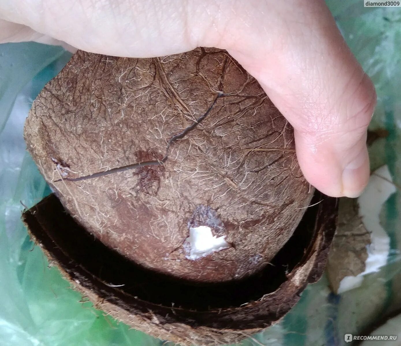 Сосуд из кокоса stranded deep. Сосуд из кокоса stranded deep. Сосуд из кокоса. Stranded deep крафт. Сосуд из кокоса в stranded.