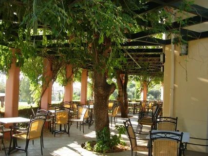 Century resort