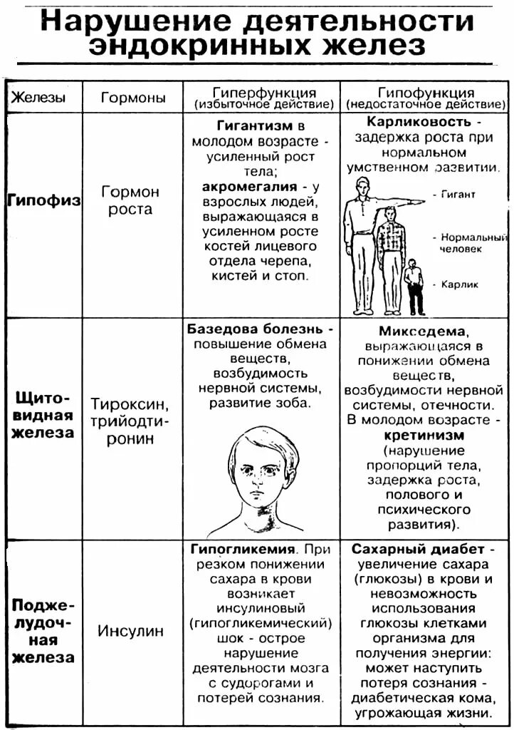 Таблица железы внутренней секреции и их функции. Таблица нарушение эндокринной функции железа. Эндокринная система железы внутренней секреции таблица. Эндокринная система строение и функции желез таблица. Строение эндокринной системы таблица.