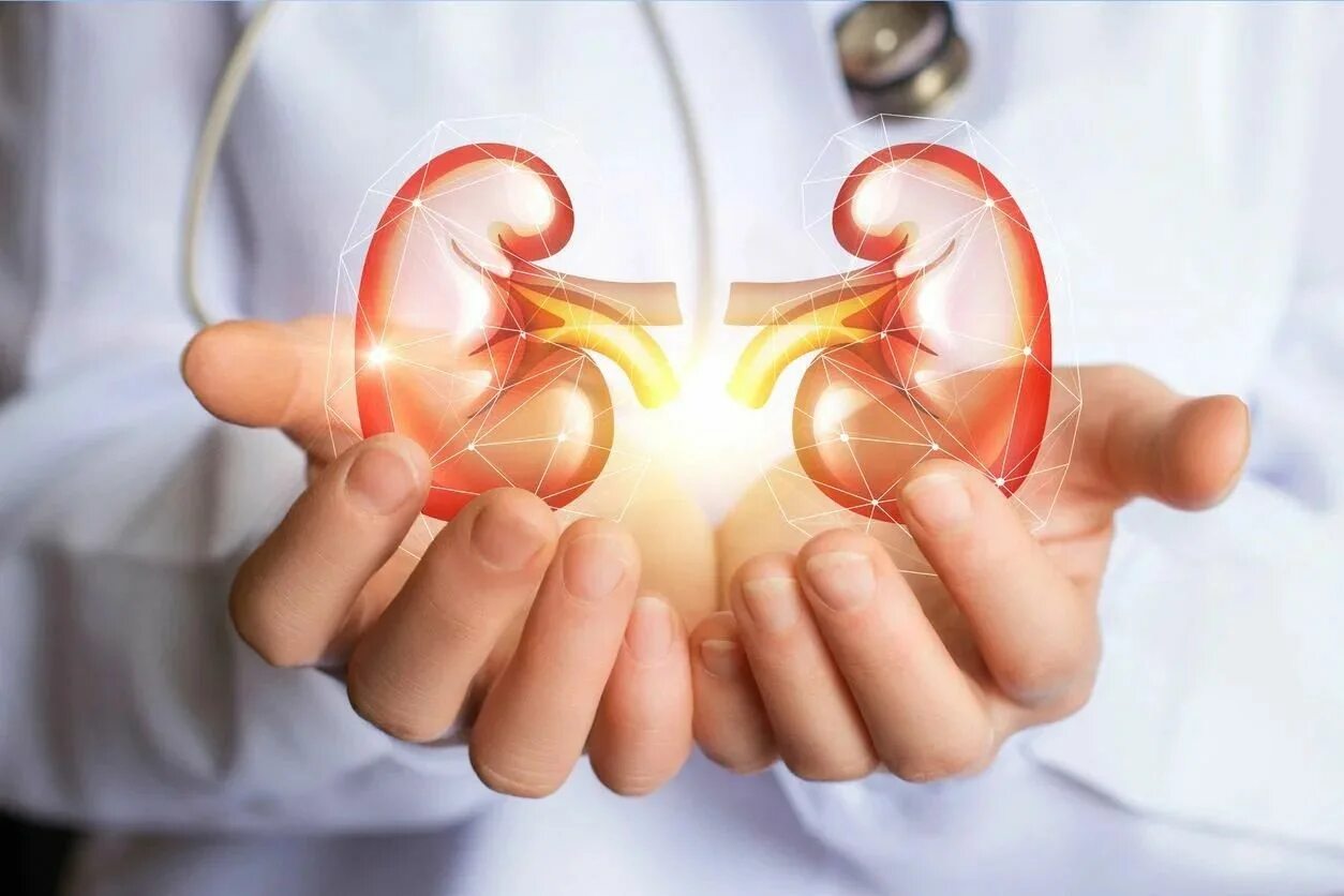 Kidney treatment. Kidney treatment. Kidney treatment. Kidney treatment. Поликистоз почек макропрепарат.