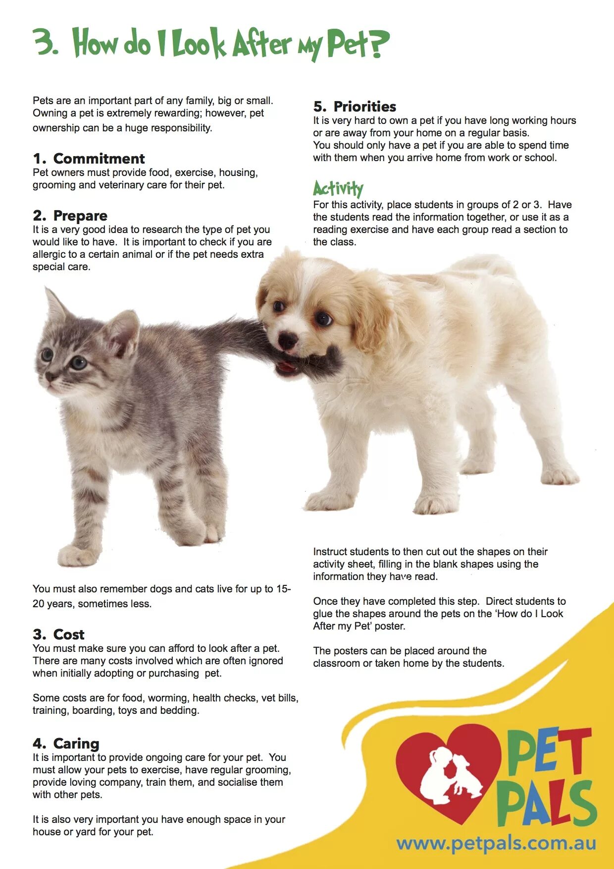 After your pet. Look after Pets. Look after Pets Worksheet. How to look after Pets. To look after a Pet.