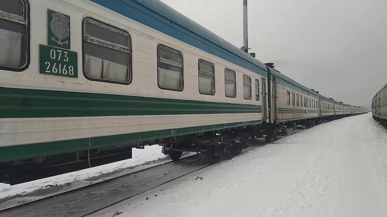 Новосибирск ташкент поезд билет. Новосибирск Ташкент. Новосибирск Ташкент железная дорога. Новосибирск Ташкент поезд. Поезд Москва Ташкент.