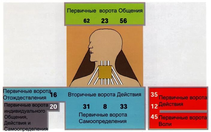 Горловой центр. Горловой центр в дизайне человека. Определённое горло дизайн человека. Открытый горловой центр дизайн человека. Ворота горлового центра.