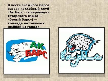 Барс словарь
