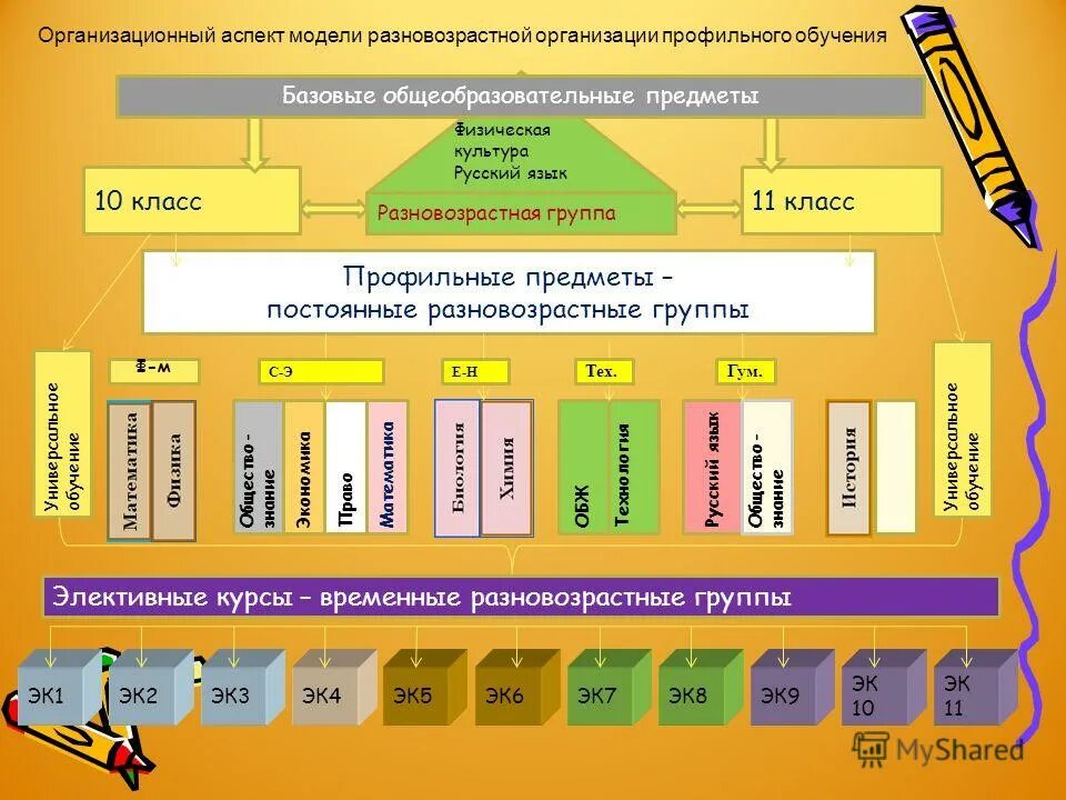 Модели организации профильного обучения. Модель профильного обучения в школе. Модели организации профильного обучения в школе. Профильные классы в школах.